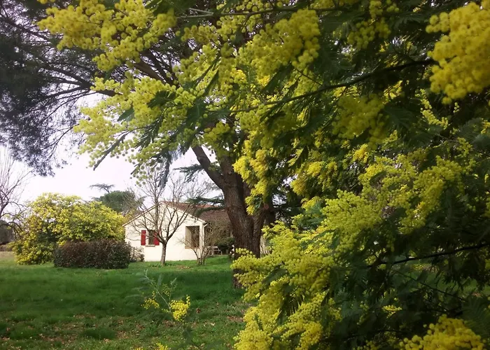 Les Mimosas Сasa de vacaciones