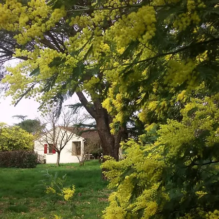 Les Mimosas Vakantiehuis